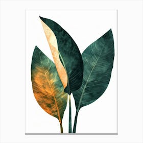 Tropical Leaves 117 Canvas Print