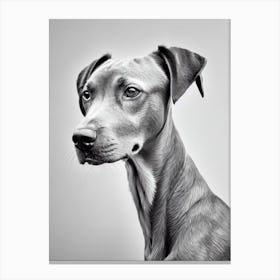 Vizsla B&W Pencil dog Canvas Print