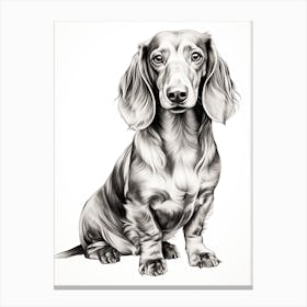 Dachshund Dog, Line Drawing 1 Canvas Print