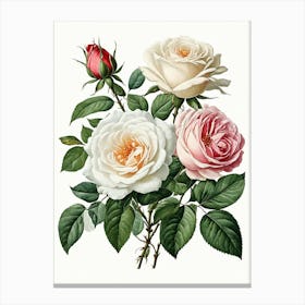 Vintage Galleria Style Rose Art Painting 24 Canvas Print