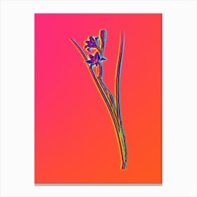 Neon Gladiolus Botanical in Hot Pink and Electric Blue n.0572 Canvas Print