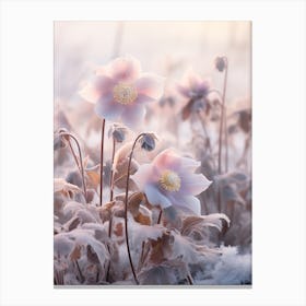 Frosty Botanical Lenten Rose 3 Canvas Print