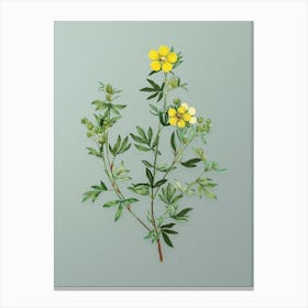 Vintage Yellow Buttercup Flowers Botanical Art on Mint Green Canvas Print