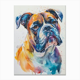 Bulldog Watercolor Painting 1 Canvas Print