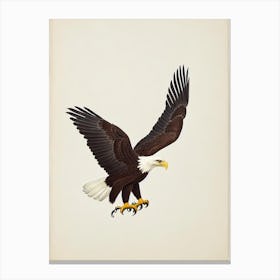 Bald Eagle Illustration Bird Canvas Print
