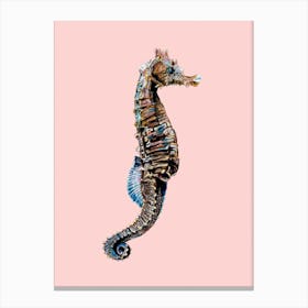Seahorse On Pink Canvas Print