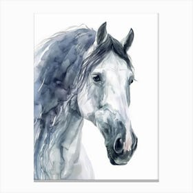 White Horse Watercolor Painting 1 Canvas Print