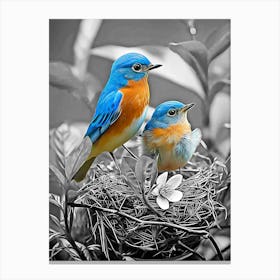 Bluebirds In Nest Canvas Print