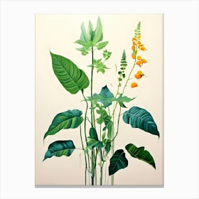 'Plants In A Vase' Canvas Print