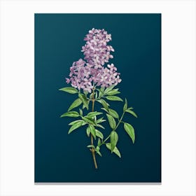 Vintage Persian Lilac Botanical Art on Teal Blue n.0250 Canvas Print