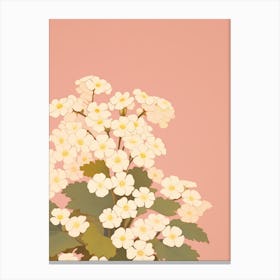 Primroses Flower Big Bold Illustration 1 Canvas Print