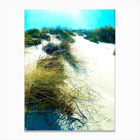 Sand Dunes and Grass Bushes on the Beach near the Ocean Canvas Print