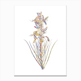 Stained Glass Yellow Asphodel Mosaic Botanical Illustration on White Canvas Print