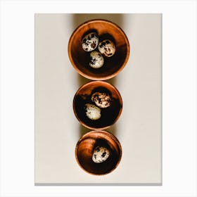 Quail Eggs In Bowls 1 Canvas Print