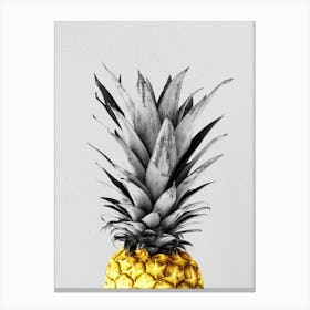 Golden pineapple Canvas Print