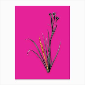 Vintage Bermudiana Black and White Gold Leaf Floral Art on Hot Pink n.1080 Canvas Print