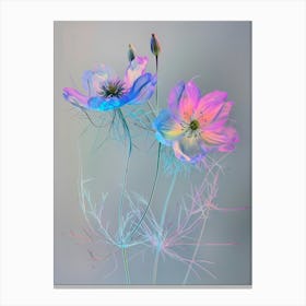 Iridescent Flower Love In A Mist 2 Canvas Print