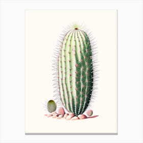 Melocactus Cactus Marker Art 3 Canvas Print