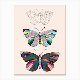 Three Butterflies Canvas Print