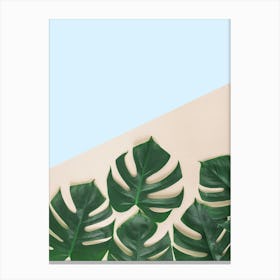 Botanical art 3 Canvas Print