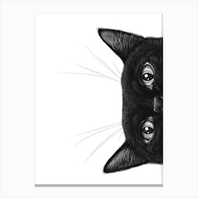 Black Cat Ii Canvas Print