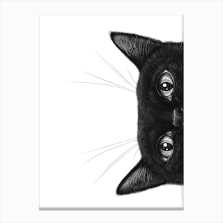 Black Cat Ii Canvas Print