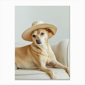 Chihuahua In Hat Canvas Print