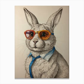 Rabbit In Sunglasses Canvas Print