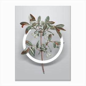 Vintage Honeyberry Flower Minimalist Botanical Geometric Circle on Soft Gray Canvas Print