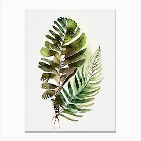 Wood Fern Watercolour Canvas Print