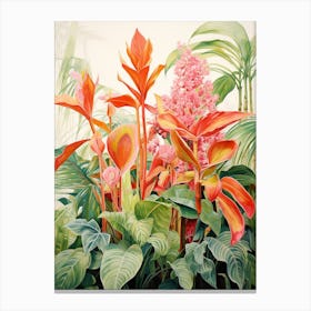 Tropical Plant Painting Chinese Evergreen 2 Canvas Print