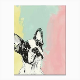 Boston Terrier Dog Pastel Line Painting 2 Canvas Print