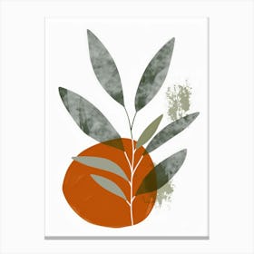 Olive Tree Canvas Print