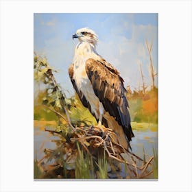 Bird Painting Osprey 4 Canvas Print