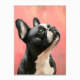 Minimal Frenchie With Pink Background 3 Canvas Print