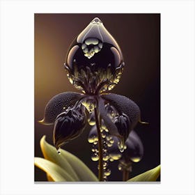 Water Drop On A black orchid Canvas Print