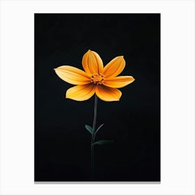 Single Yellow Flower On Black Background 7 Canvas Print