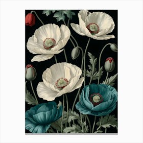 Poppies 2 Canvas Print