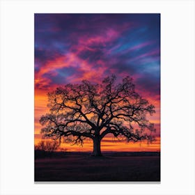 California Sunset Canvas Print