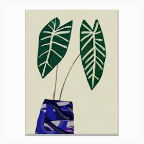 Two Plants In A Blue Vase Canvas Print