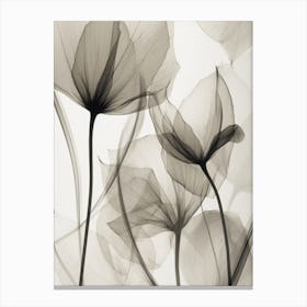 Lotus Flower Canvas Print