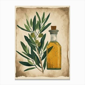 Olive Branch Olive Oil Illustration 1 Canvas Print