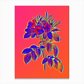 Neon Pasture Rose Botanical in Hot Pink and Electric Blue Canvas Print