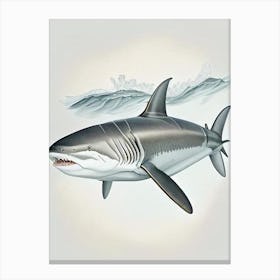 Grey Reef Shark 2 Vintage Canvas Print