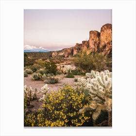 Desert Mountain Sunset Canvas Print