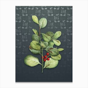 Vintage Lingonberry Evergreen Botanical on Slate Gray Pattern Canvas Print