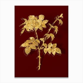 Vintage White Flowered Rose Botanical in Gold on Red n.0242 Canvas Print
