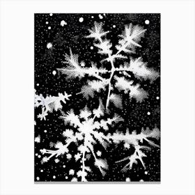 Stellar Dendrites, Snowflakes, Black & White 1 Canvas Print