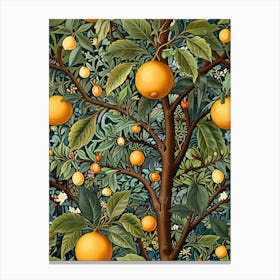 William Morris Orange Tree 1 Canvas Print