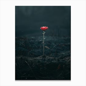 Single Red Flower In The Dark 1 Canvas Print